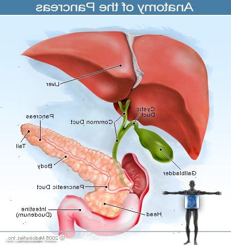 Krebs der Bauchspeicheldrüse. Was ist Krebs der Bauchspeicheldrüse? Krebs der Bauchspeicheldrüse. Was ist Krebs der Bauchspeicheldrüse?