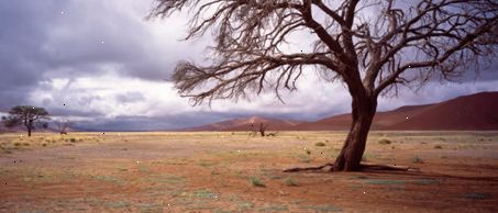 Reisemedizin - africa
