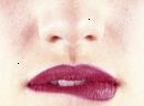 Bit Lippe