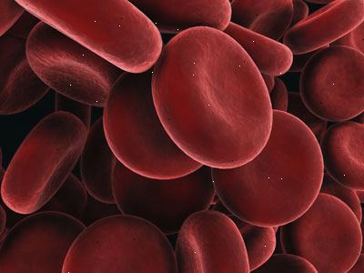 Blut. was ist Blut gemacht? Blut. was ist Blut gemacht?