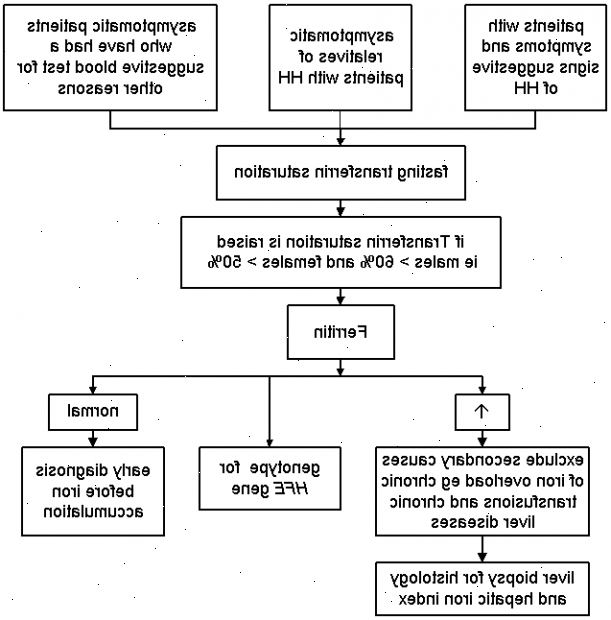 Hämochromatose. was ist Hämochromatose? Hämochromatose. was ist Hämochromatose?