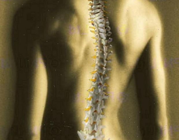 Chiropraktik. Was ist Chiropraktik? Chiropraktik. Was ist Chiropraktik?