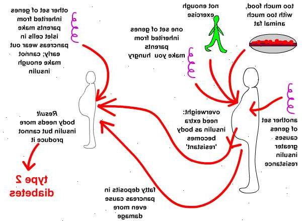 Typ-2-Diabetes. was ist Insulinresistenz? Typ-2-Diabetes. was ist Insulinresistenz?
