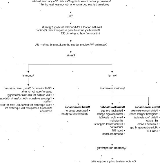 Harninkontinenz bei Frauen. Scheidenvorderwand Reparatur Chirurgie. Harninkontinenz bei Frauen. Scheidenvorderwand Reparatur Chirurgie.